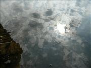 P1060489