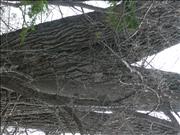 P1060502