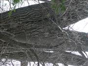 P1060504