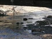 P1050686