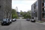 _MG_0495